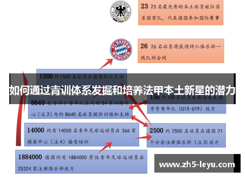 如何通过青训体系发掘和培养法甲本土新星的潜力
